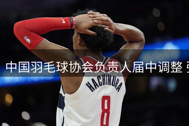 中国羽毛球协会负责人届中调整 张新当选中国羽毛球协会主席 李论当选副主席